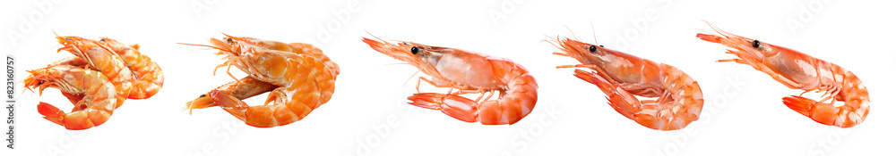 Shrimp png element set on transparent background Shrimp png element set on transparent background