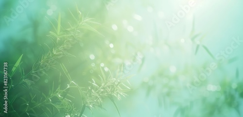 Tranquil Green Bamboo Leaves with Soft Light
