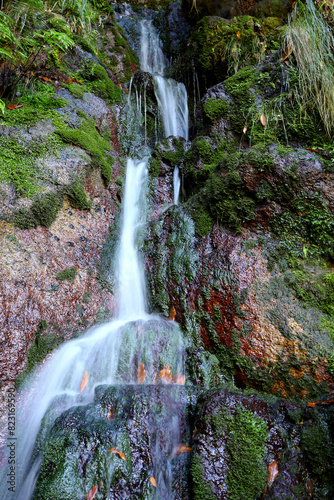 Madera, wild nature, wodospad, 