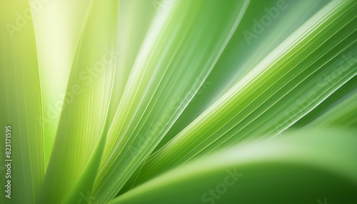 Nature green leaf at garden at summer under sunlight background. Natural green leaves background world environment day ecology or greenery wallpaper with copy space