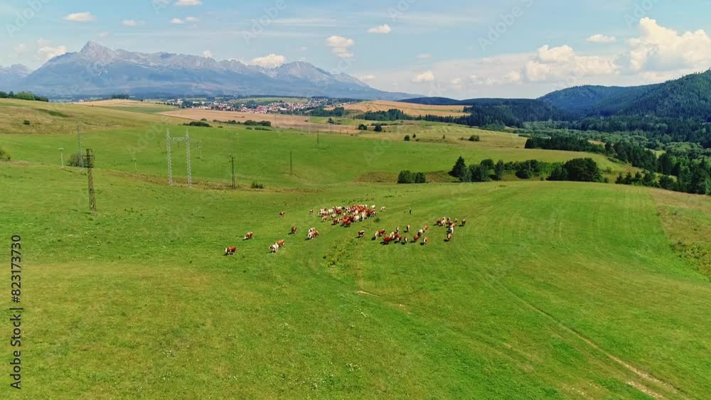 Aerial view of 