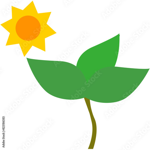 plant photosynthesis vector illustration