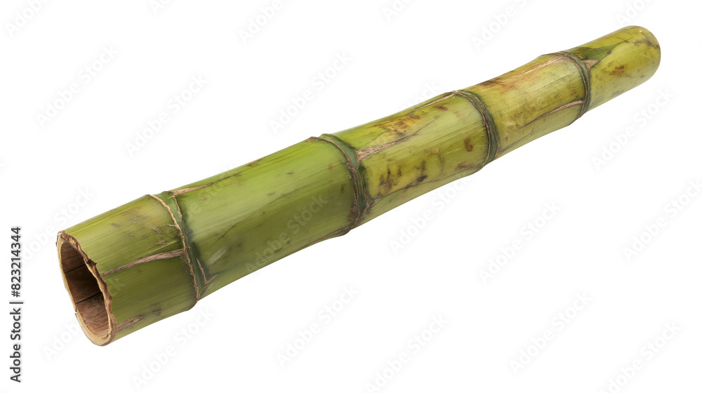 Fototapeta premium unripe bamboo trunk isolated on transparent white background, clipping path