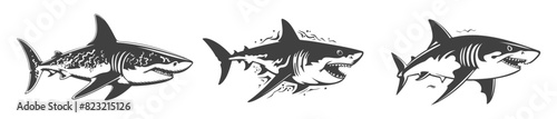 shark silhouette set, black and white vector design
