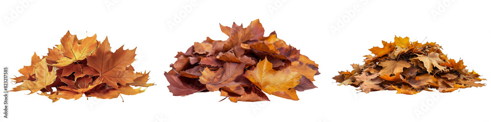 Pile of yellow autumn leaves on transparent background
