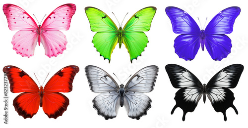 Set of butterflies on isolated background.
