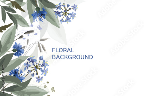 Vector floral background with cornflowers