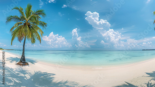 Beautiful beach with white sand turquoise ocean blue s