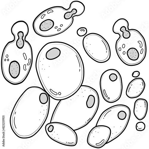 Slika na platnu outline of yeast