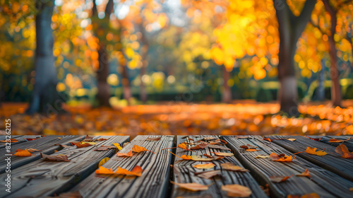 Beautiful colorful natural autumn background. Wooden f