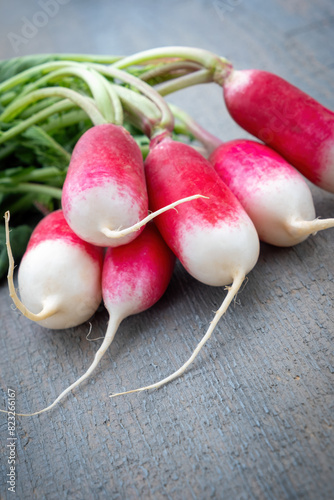 A bunch of young fresh radish with foliage lies on a gray, blue wooden background