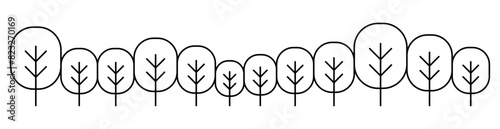 Forest graphic background in thin line style Vector illustration graphic design