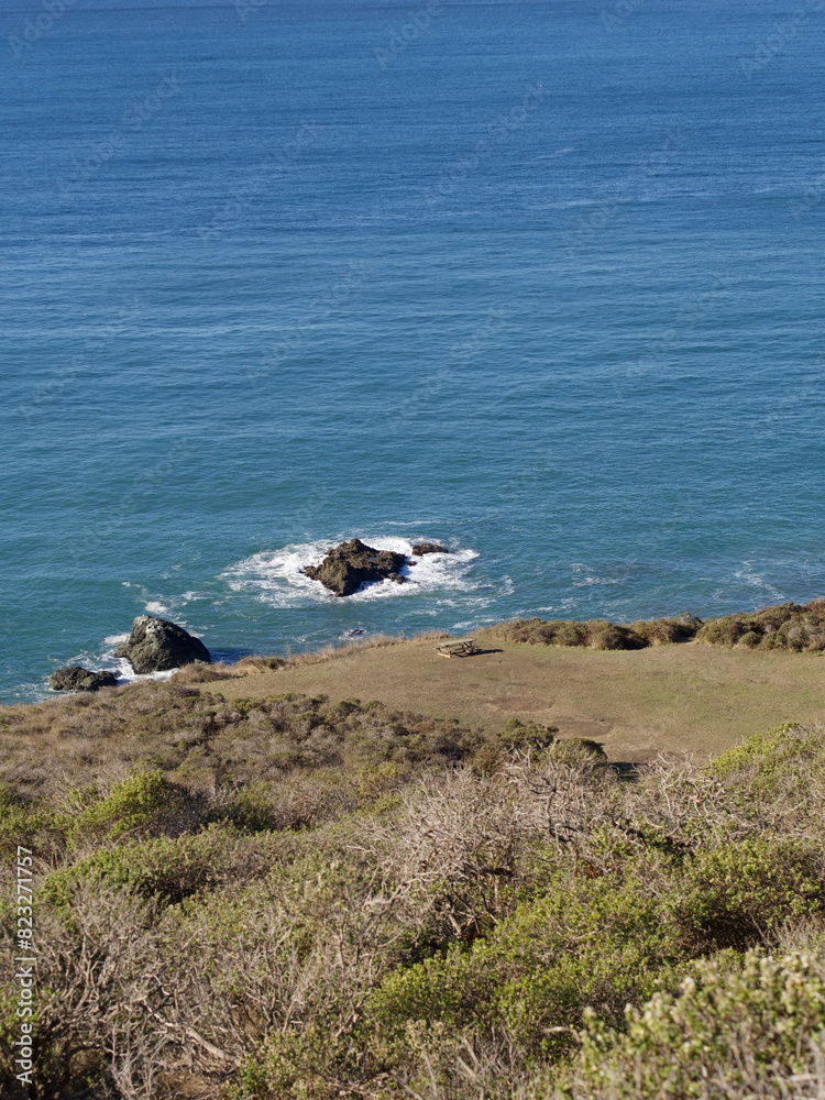 Sunny day at the shore with a blue ocean backdrop