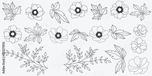 Illustration of the flowers on a white background. Vector illustration.