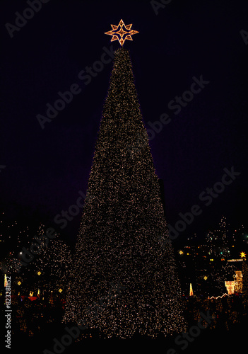 Illuminated Christmas Tree, Berlin, Germany

