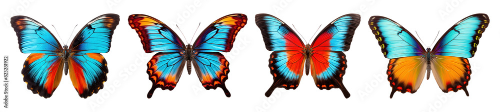Obraz premium Butterfly png element set on transparent background
