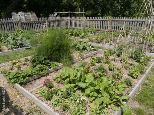 A traditional vegetable garden at the historic antebellum farming community,  Missouri Town 1855.
