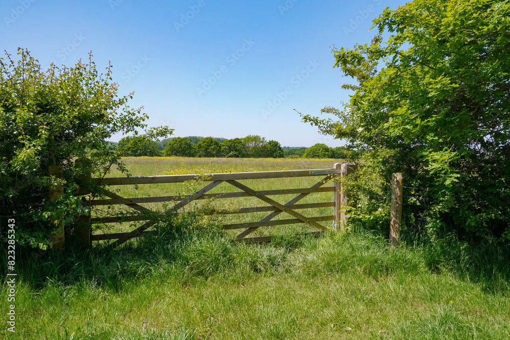 wooden gate leading to countryside fields. rural green landscape. summer meadow 