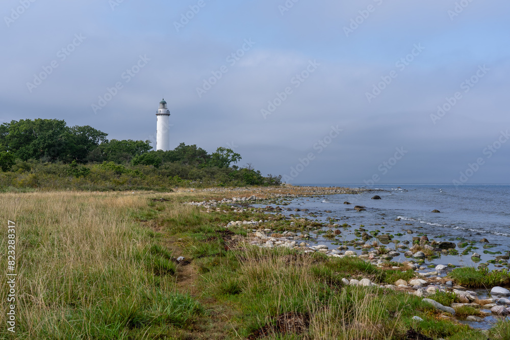 there is a lighthouse sitting high above the water near a grassy area