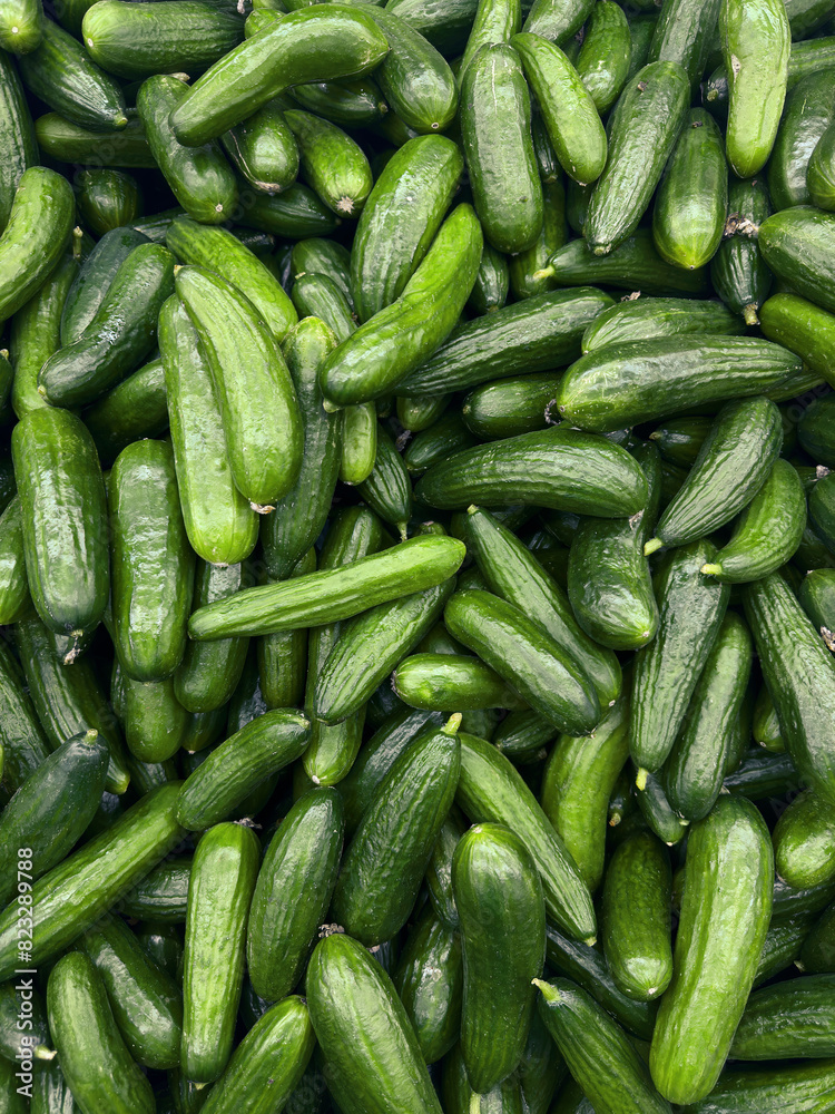 Full frame still life heap of vibrant green harvested cucumbers
Full frame still life heap of vibrant green harvested cucumbers