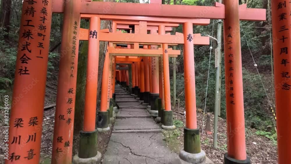 Vermilion Torii Gates And Stairs In Fushimi Inari Taisha In Kyoto, Japan. POV Shot Vermilion Torii Gates And Stairs In Fushimi Inari Taisha In Kyoto, Japan. POV Shot