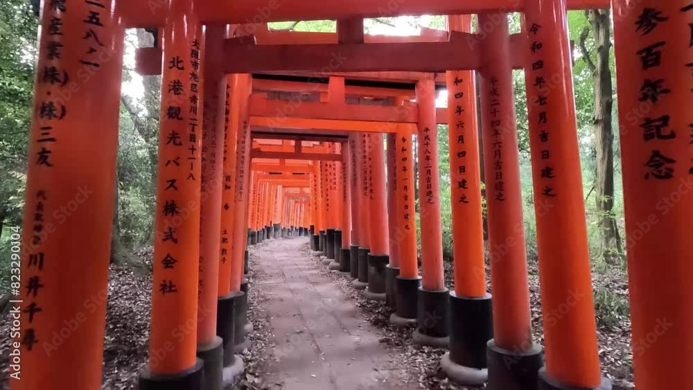 The Torii Gates at Fushimi Inari-taisha Shrine in Kyoto, Japan - Pullback Shot The Torii Gates at Fushimi Inari-taisha Shrine in Kyoto, Japan - Pullback Shot