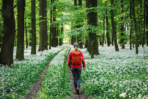 Hiker exploring  blooming forest trail in springtime. Woman enjoys her adventure in nature © encierro