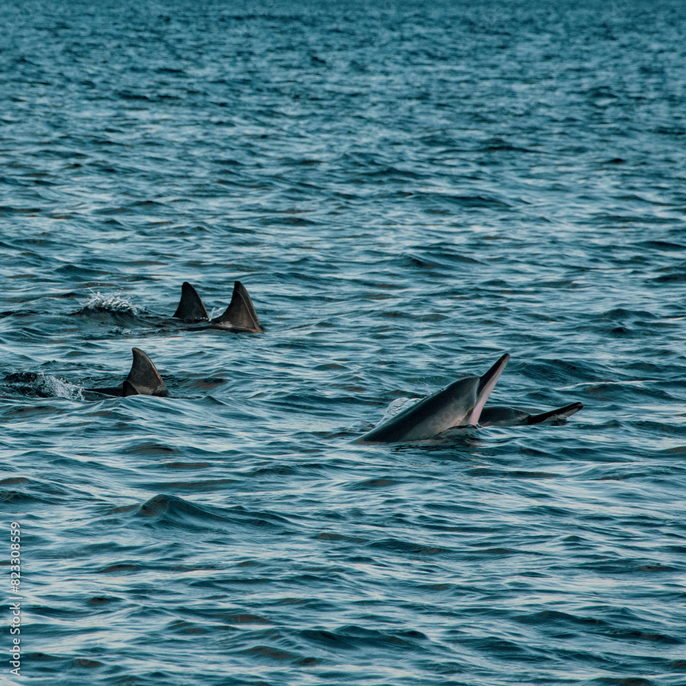 Naklejka premium a deep breath before playing again