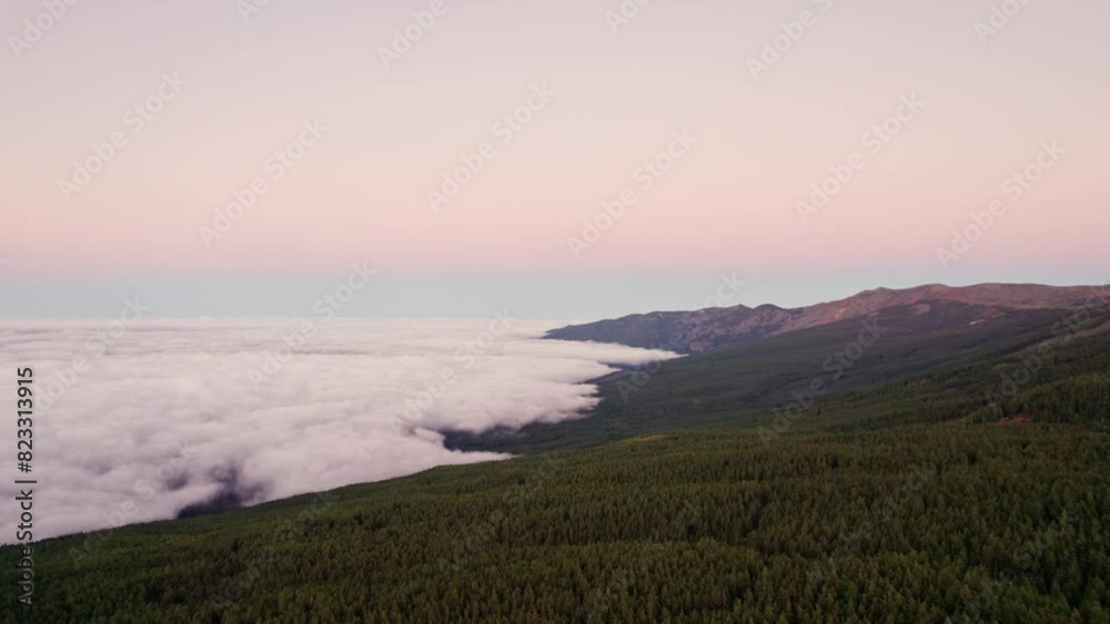 Landscape of a forest, mountains and white low cloudy sky Landscape of a forest, mountains and white low cloudy sky
