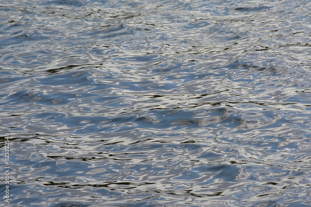 dark blue rippling water surface with ligh reflections background dark blue rippling water surface with ligh reflections background