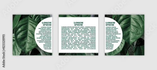 set of banners with space for text with eco-friendly natural photo with dark leaves