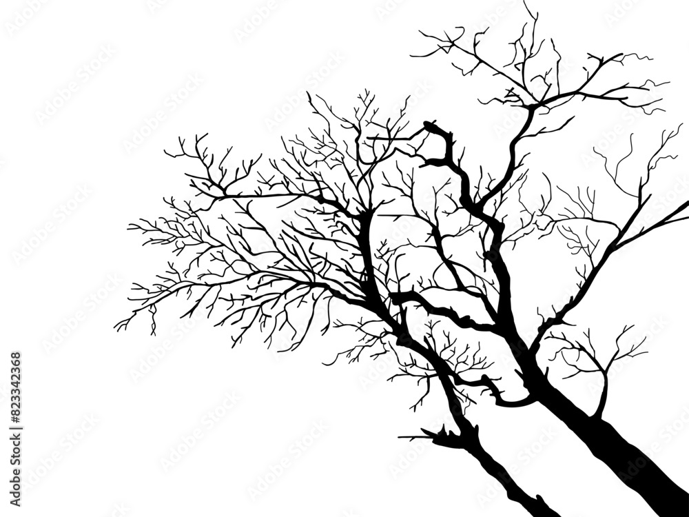 Fototapeta premium Black Branch Tree or Naked trees silhouettes set. Hand drawn isolated illustrations.