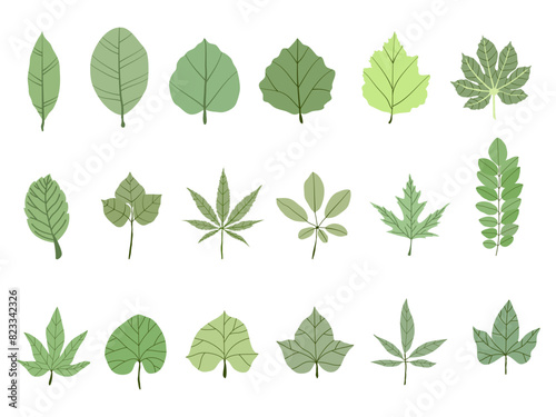 Vector design elements collection of fern green forest, green uca green green art leaves natural herb in silhouette beauty decoration elegant illustration for design. photo