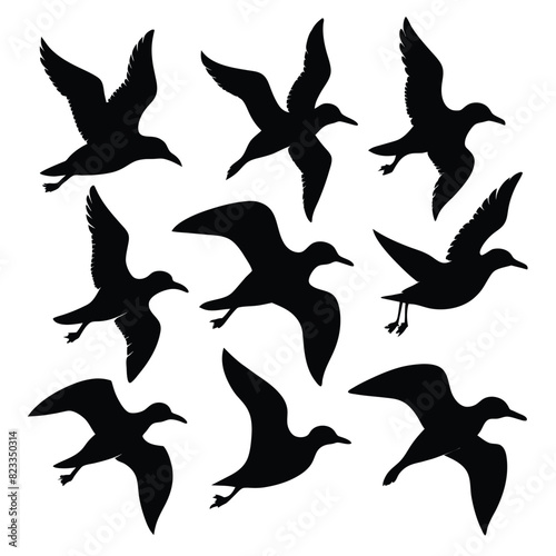 Set of albatross birds animal Silhouette Vector on a white background