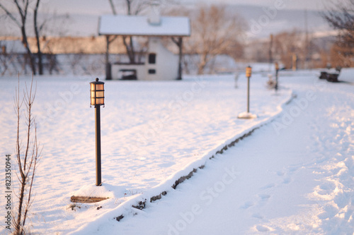 a path that has snow on the ground with trees and bushes in front