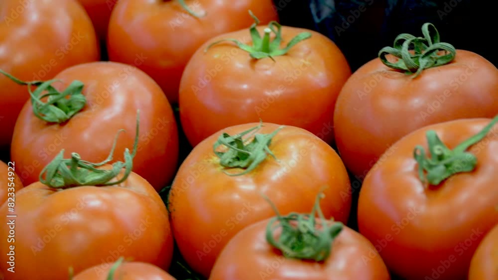 Closeup shot of the ripe organic tomatoes organized in rows on the table with blur background Closeup shot of the ripe organic tomatoes organized in rows on the table with blur background
