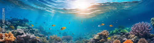 Scenic Underwater Coral Reef Habitat