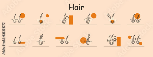 Hair set icon. Follicle, growth, injection, treatment, loss, transplant, removal, care. Health, beauty, therapy, medical.