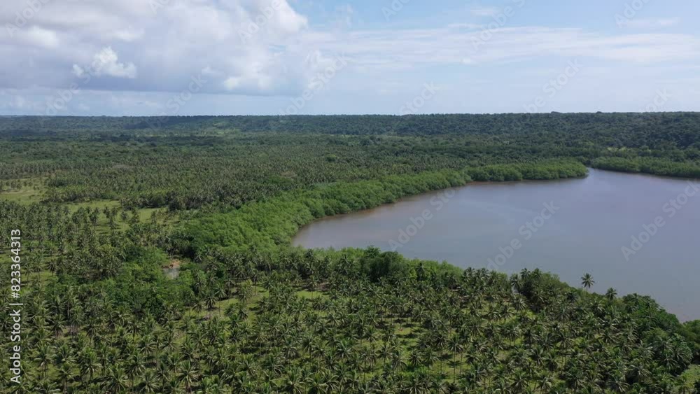 Vanuatu, Espiritu Santo Island. Evening scene with clouds. Video from height of the drone flight. Vanuatu, Espiritu Santo Island. Evening scene with clouds. Video from height of the drone flight.