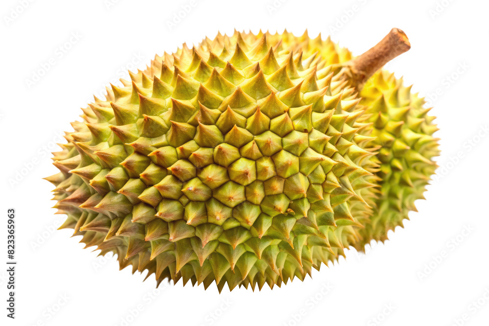 Fresh Durian Fruit with Spiky Skin Isolated on White Transparent Background, png element Fresh Durian Fruit with Spiky Skin Isolated on White Transparent Background, png element