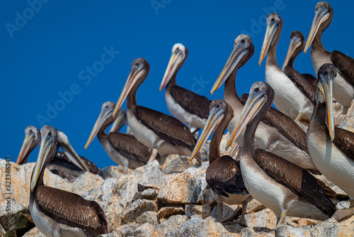 Guardami negli Occhi
