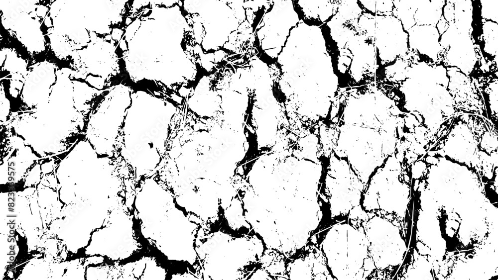 Fototapeta premium two different vintage vector of cracked and dry land ground, cracked white paint on a white background, a black and white drawing of a cracked wall set, a black and white image of a cracked wall