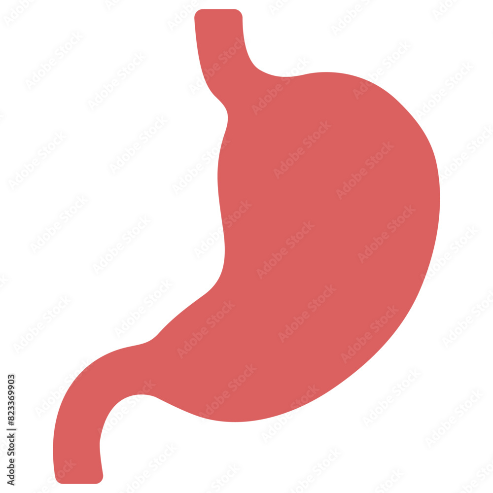 Stomach on a white background, vector illustration.
Stomach on a white background, vector illustration.