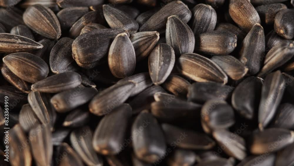 The sunflower seeds on a plate close-up. The sunflower seeds after harvest. Pile of Dried Sunflower Unpeeled Seeds, a Healthy Source of Vitamins in Vegan Food. The sunflower seeds on a plate close-up. The sunflower seeds after harvest. Pile of Dried Sunflower Unpeeled Seeds, a Healthy Source of Vitamins in Vegan Food.