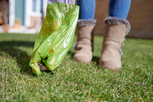 Unrecognizable woman collects her dog's excrement from the ground using a green plastic poo bag. Civics concept.