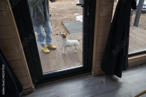 The dog stands at the patio window and asks to go inside the house. 