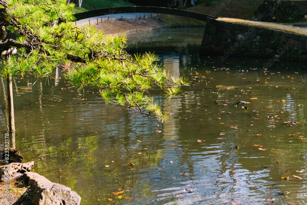Naklejka premium bridge in the park
