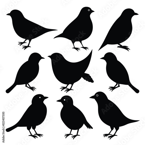 Set of catbird animal Silhouette Vector on a white background photo
