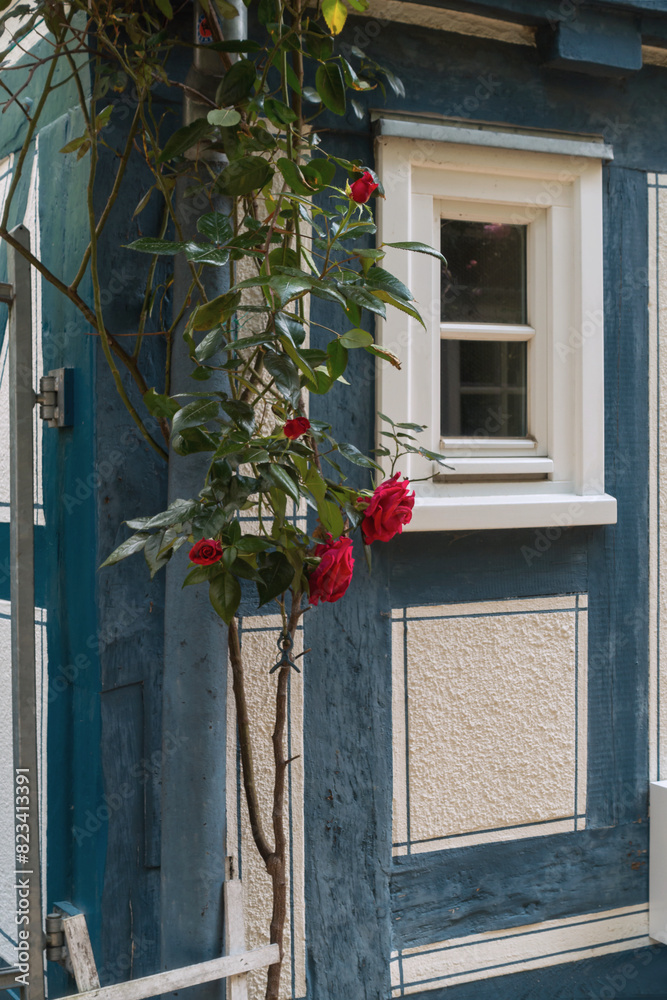 Fototapeta premium Altstadt Flair, Gassen Fenster und Türen