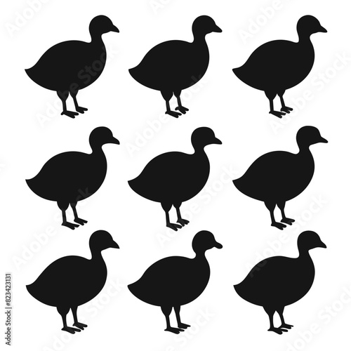 Set of coot animal Silhouette Vector on a white background